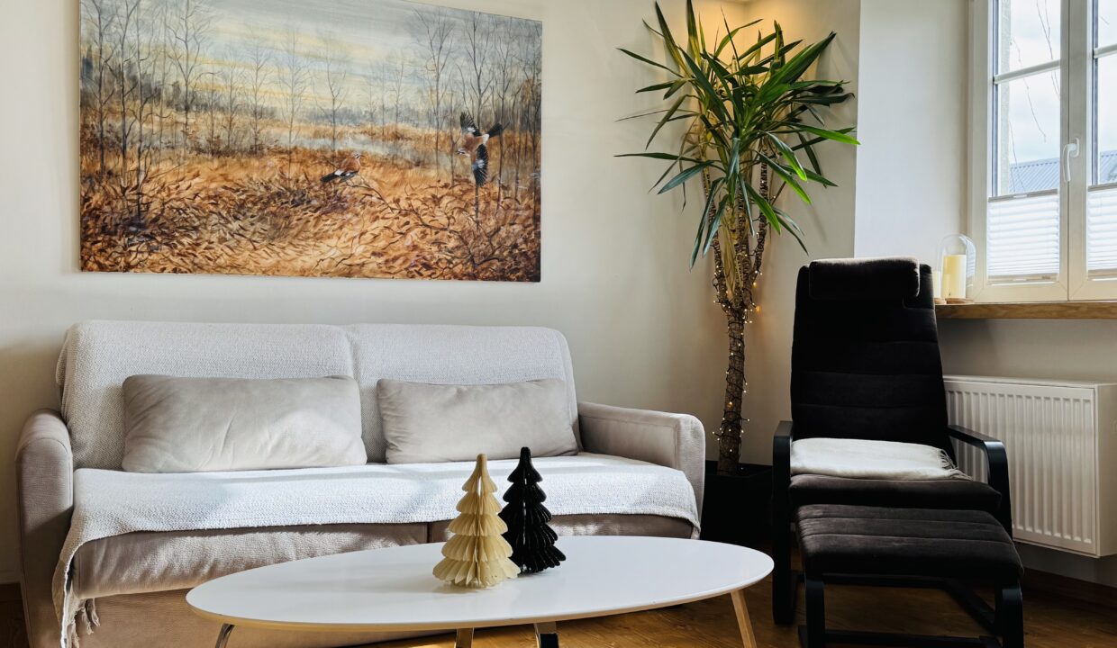 Wohnzimmer IMG_9026