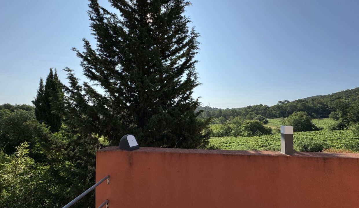 Groß (5)